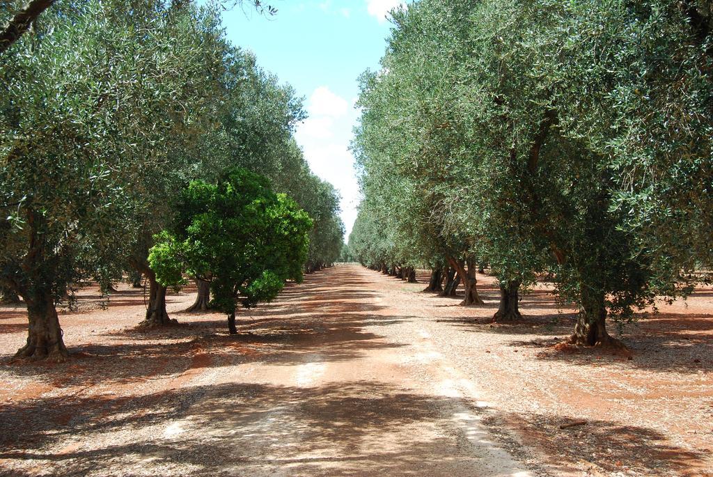 Terra Di Leuca Villa Salve Exterior photo