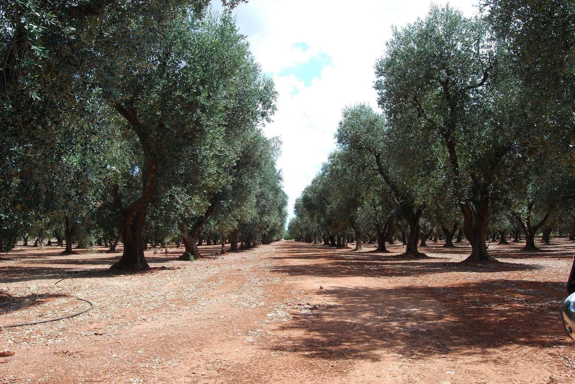 Terra Di Leuca Villa Salve Exterior photo