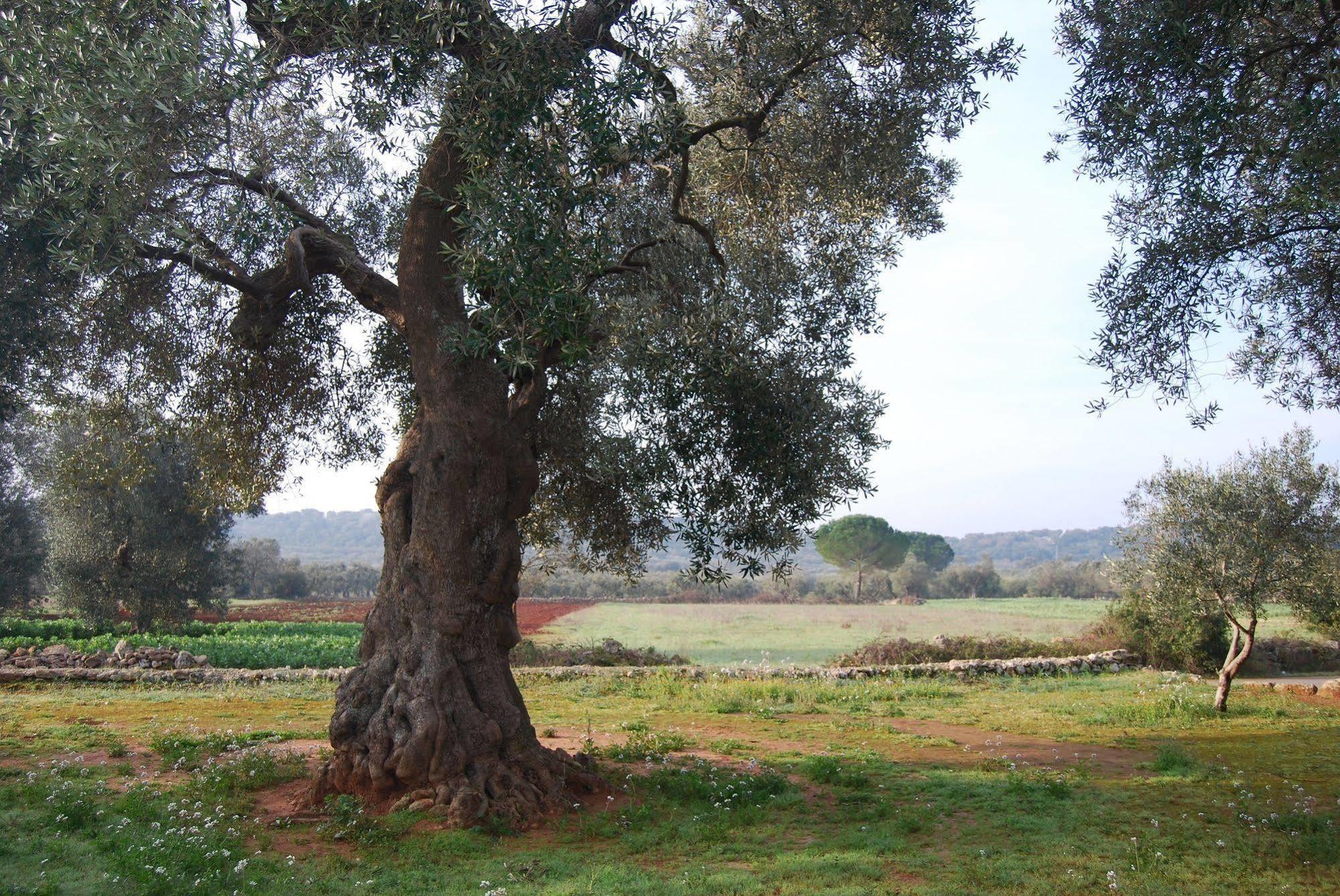 Terra Di Leuca Villa Salve Exterior photo