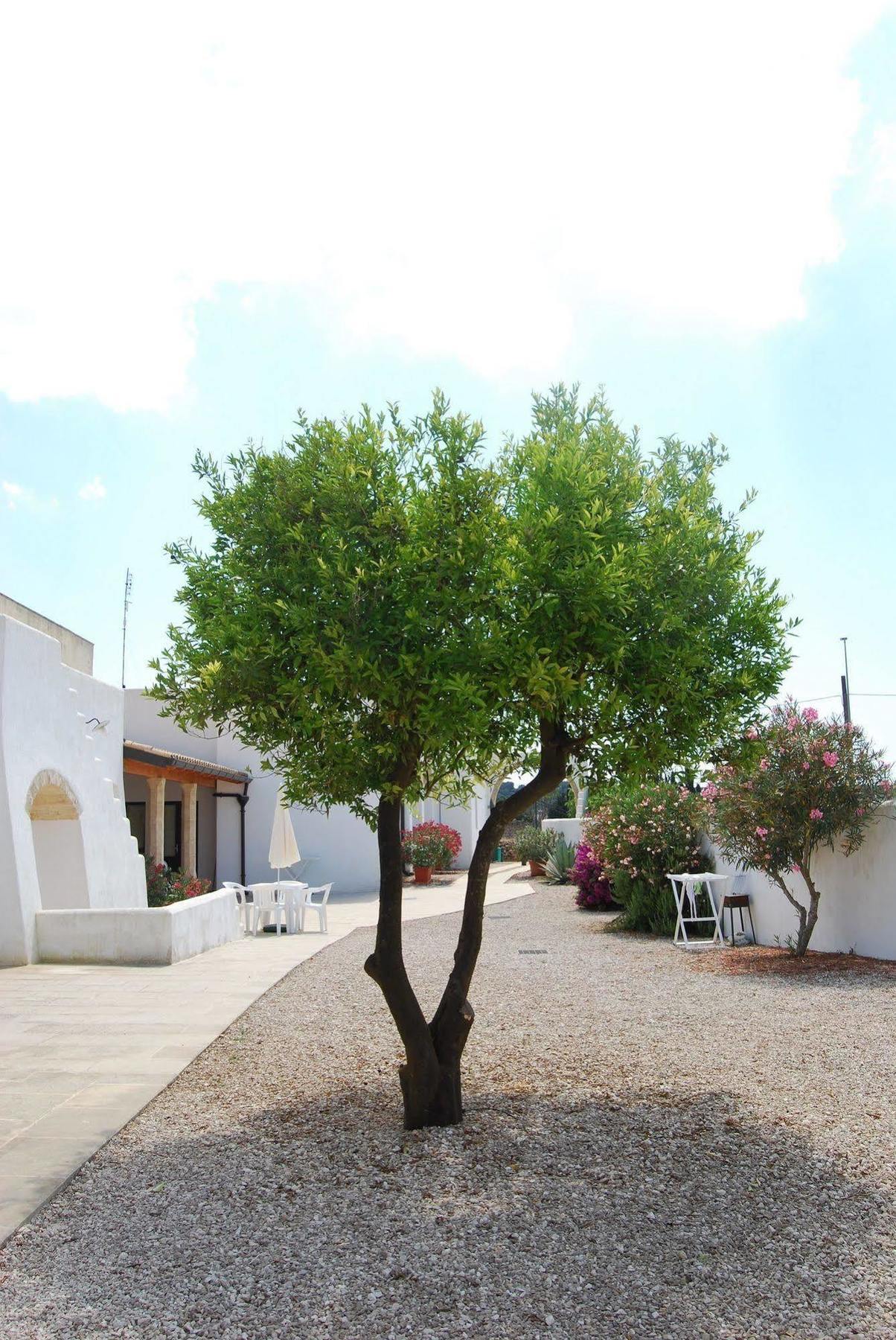 Terra Di Leuca Villa Salve Exterior photo